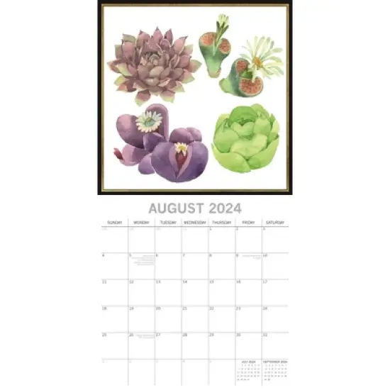 The Gifted Stationery 2024 Square Wall Calendar, Succulents, 16-Month Arts & Antiques Theme with 180 Reminder Stickers (12x12 In) image {2}