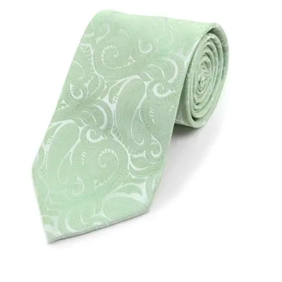 Men's Paisley Microfiber Woven Wedding Neckties image {26}