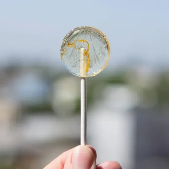 Amborella Organics Mixed Variety 12ct Flower Seeds image {1}