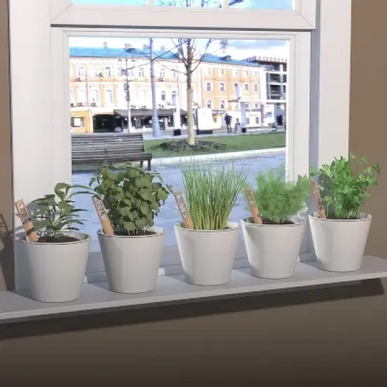 Window Garden Herbs Kit - Garden Starter with Bamboo Markers image {1}