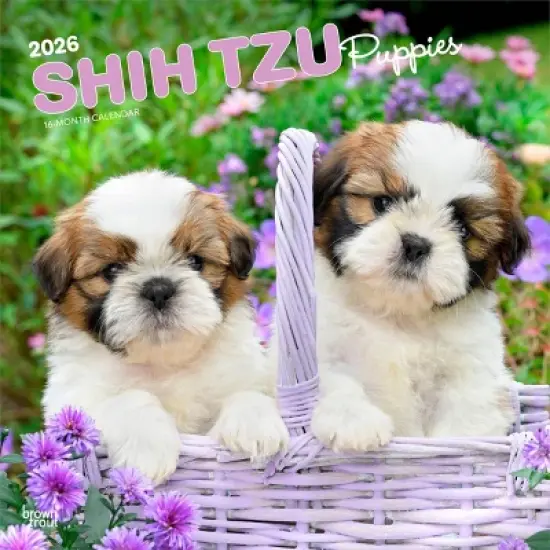 BrownTrout Shih Tzu Puppies 2026 12"x24" Hanging Square Wall Calendar Plastic-Free image {9}