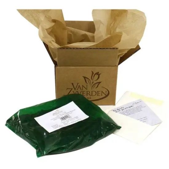 3ct Daylily Stellar Double Rose Roots - Van Zyverden image {3}