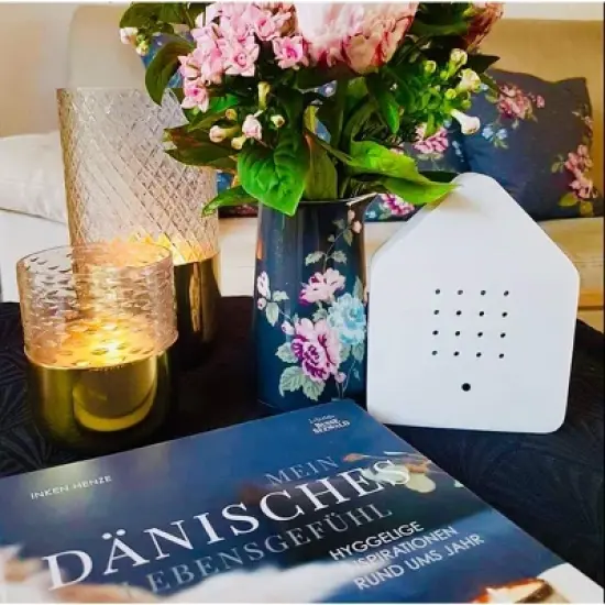 Brainstream Zwitscherbox Sound Therapy Machine with Motion Sensor image {7}