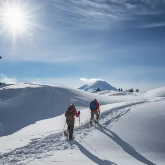 Crescent Moon Womens Athletic Trail Snowshoes with Crampons and No Slip Hook and Loop Binding, Fits Shoe Sizes 6W to 12W, Gold 13 Sapphire Blue image {4}