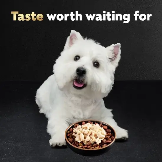 Cesar Simply Crafted Chicken Flavor Small Breed Wet Dog Food image {5}