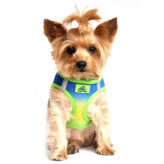 Doggie Design American River Choke Free Dog Harness Ombre Collection-Cobalt Sport image {3}