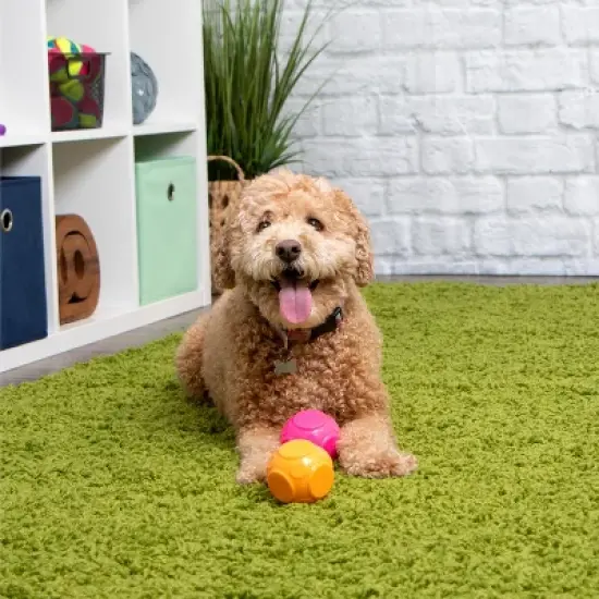 goDog Silent Squeak Ball Dog Toys, 2 CNT, Orange & Pink, One Size image {2}