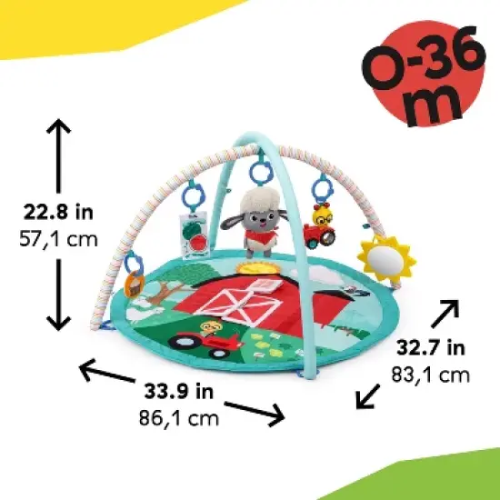 Baby Einstein Happy Harvest Touch & Feel Activity Gym image {7}