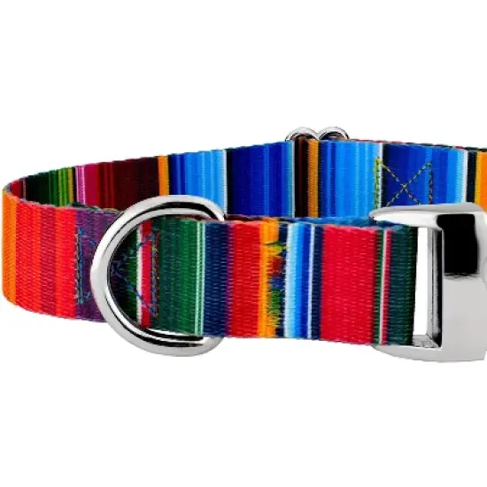 Country Brook Petz Premium Serape Dog Collar and Leash image {4}
