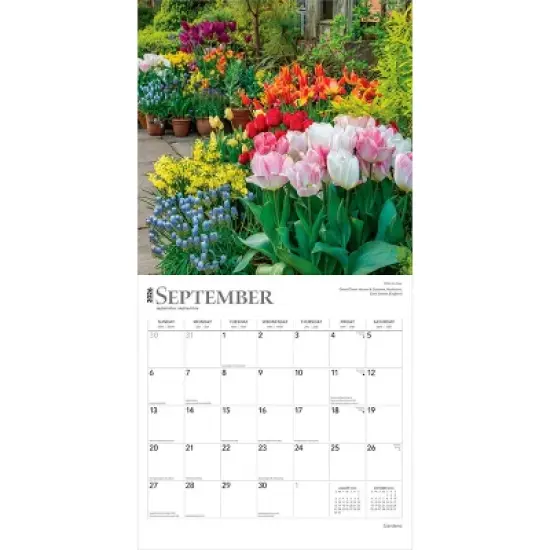 BrownTrout Gardens 2026 12"x24" Hanging Square Wall Calendar Plastic-Free image {3}