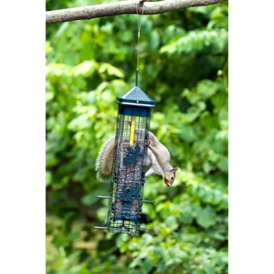 Brome Squirrel Solution 200 Squirrel Proof Bird Feeder image {4}