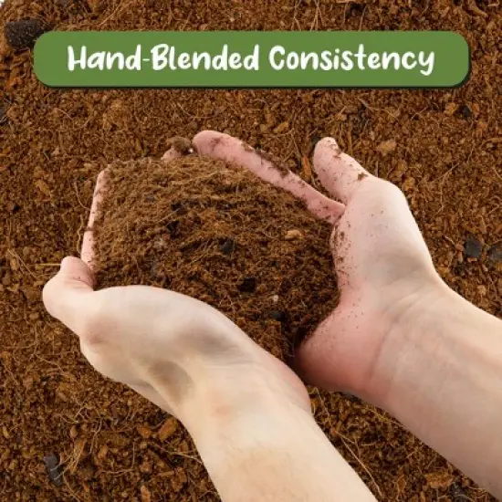 Soil Sunrise Terrarium Potting Soil Mix, w/ Blended Filtering Charcoal for Terrariums image {3}