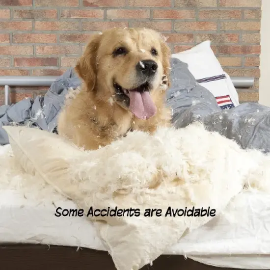 Indoor Pet Gate - 3-Panel Folding Dog Gate for Stairs or Doorways - 54x24-Inch Freestanding Pet Fence for Cats and Dogs by PETMAKER (Gray) image {2}