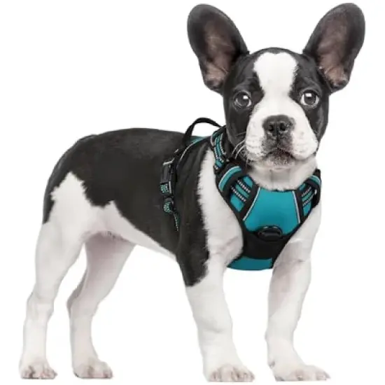 rabbitgoo Dog Harness No Pull with 2 Leash Clips, Control Handle for Small Dogs, Teal, S image {1}