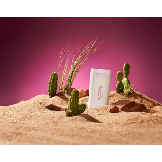 Native Deodorant - Vanilla & Cactus Flower - 2.65oz image {1}