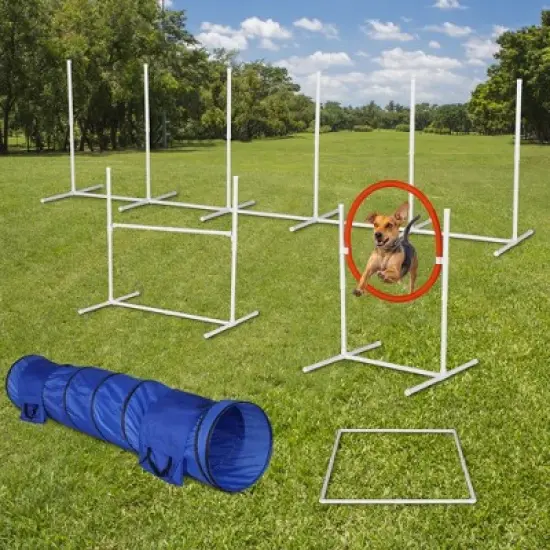 3PC/6Pack  Dog Agility Equipment Set, Obstacle Course Exercise for Dog image {10}