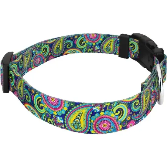 Country Brook Petz Deluxe Bright Paisley Dog Collar and Leash image {3}