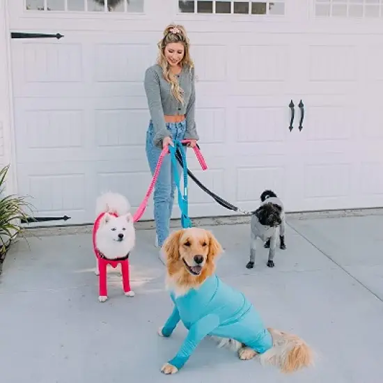 Shed Defender Shock Absorbing Bungee Leash - Three Padded Traffic Handles, Stretches from 4-7 ft. image {4}