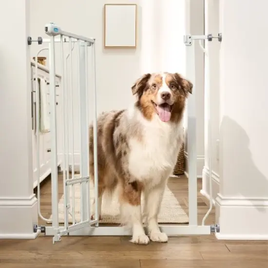 Carlson Tall Gate with Door for Dog Crate - White image {2}