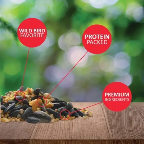 Lyric 40lb Outside Bird Seed Feeder Wild Bird Food: Attracts Cardinals, Finches, Jays image {2}