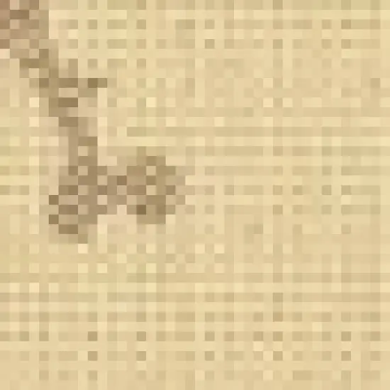 Maidstone Outdoor Rug - Safavieh image {1}