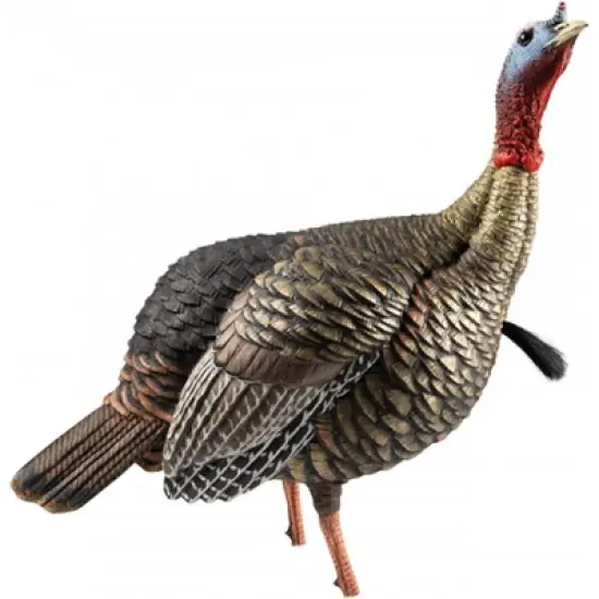 Avian X Heavy Duty Realism Jake Decoy image {1}