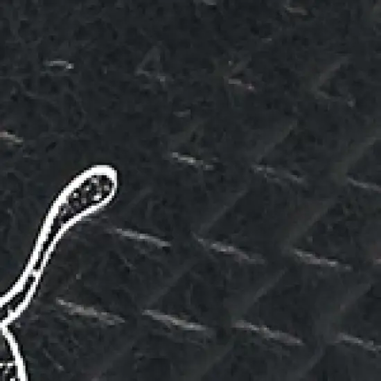 Puma Men's Ignite Articulate Leather Golf Shoes - Black/Silver image {2}