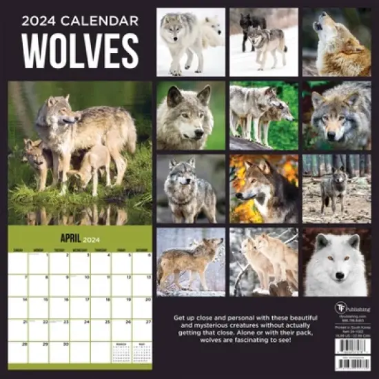 TF Publishing 2024 Wall Calendar 12"x12" Wolves image {4}