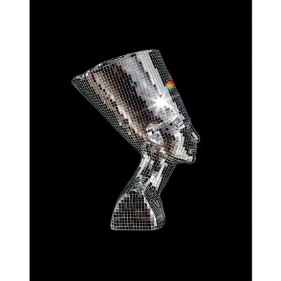 Awol Erizku: Mystic Parallax - (Hardcover) image {1}