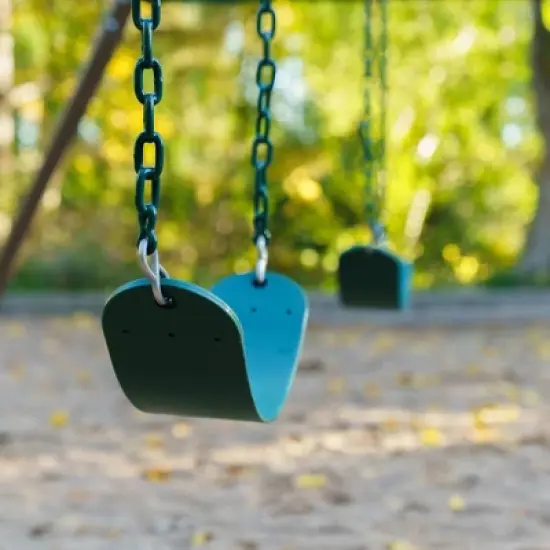 Lifetime Playset 10' Swing Set - Earthtone image {4}