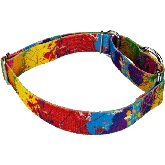 Country Brook Petz Paint Splatter Martingale Dog Collar image {2}