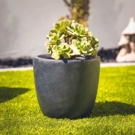 Rosemead Home & Garden, Inc. Weathered Concrete Outdoor Planter Pot Black image {1}