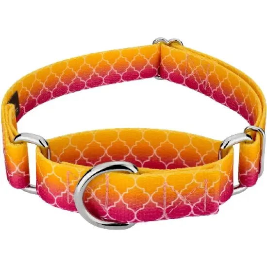 Country Brook Petz Fabulous Ombre Martingale Dog Collar image {6}