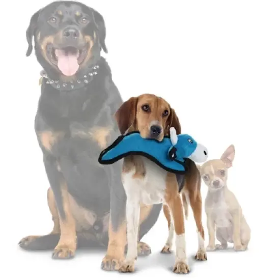 Tuffy Junior Barn Yard Cow Dog Toy - Blue image {1}