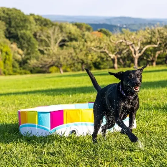 BigMouth Inc. Rainbow Foldable Hard Side Dog Pool image {5}