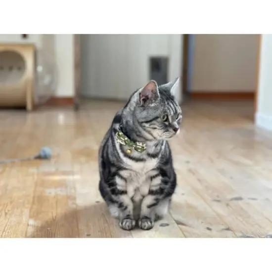 Necoichi Hanami Bow Tie Cat Collar image {5}