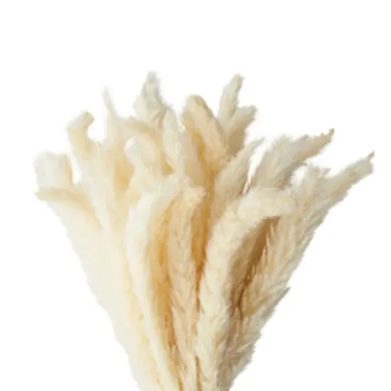 Farmlyn Creek 40 Pack Ivory Natural Dried Pampas Grass Branches with White Ceramic Vase, Plants for Home Decor, 16 in image {2}