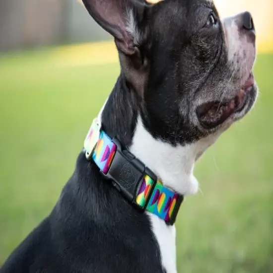 Country Brook Petz 1 1/2 Inch Deluxe Rainbow Hearts Dog Collar image {1}