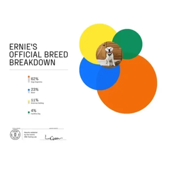 DNA My Dog Premium Dog Breed ID Test Kit image {2}