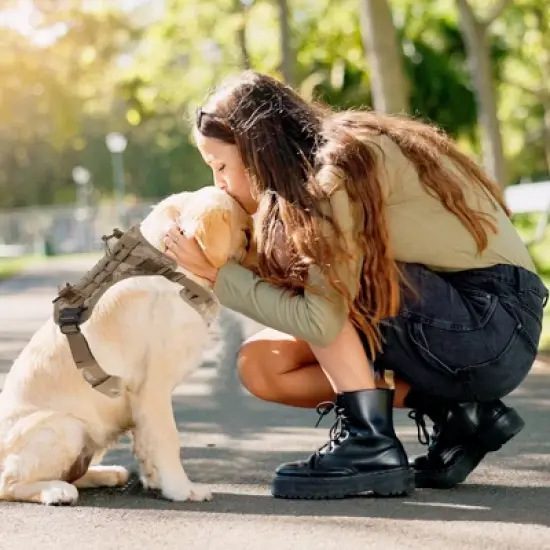 Unique Bargains Breathable Mesh Dog Harness 1 Pc image {1}