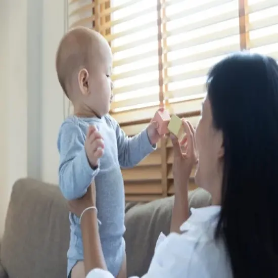 Plantoys| Sensory Blocks image {7}