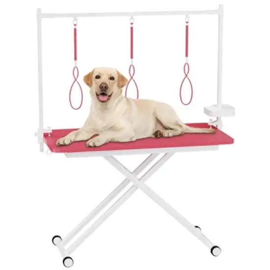 47inch X-Lift Dog Grooming Table with Adjustable Height, Mesh Tray, Tool Organizer & Noose &ndash; Foldable Pet Grooming Station for Home Use image {8}