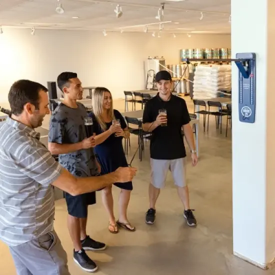 GoSports Hook 21 Wall Mounted Ring Swing Game with Foldable Arm image {3}