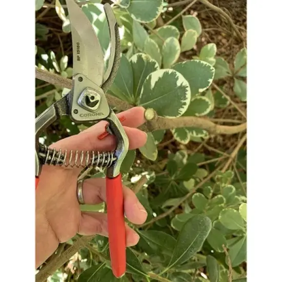 Corona Clipper Forged Steel Classic-cut Bypass Pruner, 1" Cut Capacity image {7}