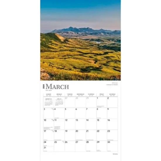 Browntrout 2024 Wall Calendar 12"x12" Ukraine image {2}