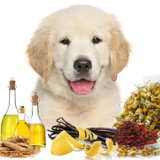 The Blissful Dog Simply CC Canine Cologne image {4}