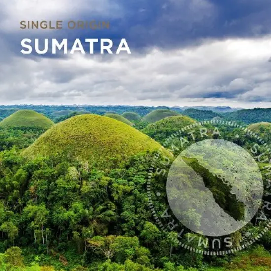 Peet's Sumatra Single Origin Dark Roast Ground Coffee 10.5oz image {2}