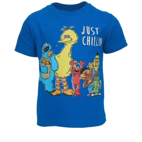 Sesame Street Bert and Ernie Oscar the Grouch Big Bird 4 Pack T-Shirts Toddler  image {2}