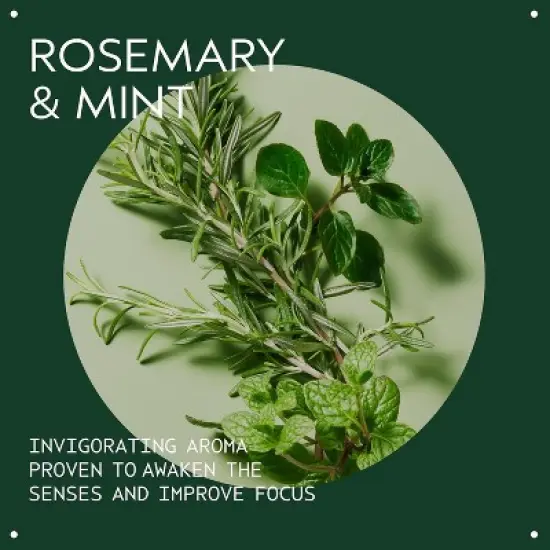 Aveda Rosemary Mint Purifying Shampoo 8.5oz image {2}