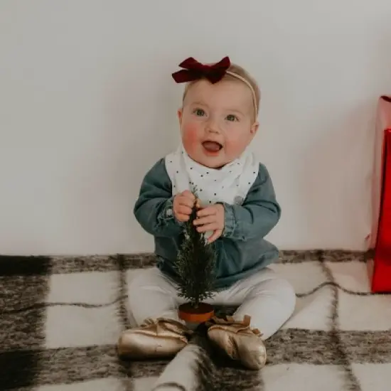 Parker Baby Co. Bandana Drool Bibs 4 Pack image {5}